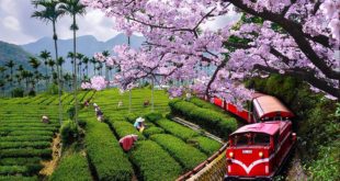 TOP 5 Hình ảnh Đài Loan đẹp ĐI XKLĐ ĐÀI LOAN | TĂNG CA | PHÍ RẺ | BAY NGAY Công ty Vinagimex Hà nội 2