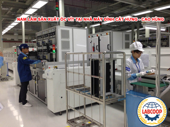 Nam làm sản xuất ốc vít tại nhà máy Đỉnh Cát Hưng Cao Hùng