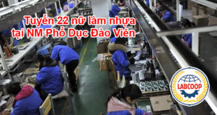 Tuyển 22 nữ làm nhựa tại NM Phổ Dục Đào Viên