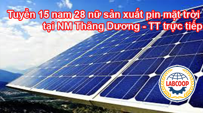 Tuyển 15 nam 28 nữ sản xuất pin mặt trời tại NM Thăng Dương