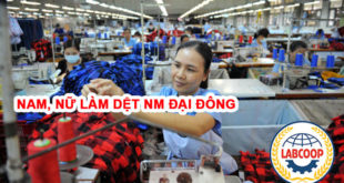 Tuyển nam nữ làm dệt tại nhà máy Đại Đông