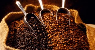 Nhà máy Khai Nguyên tuyển 20 nữ làm thực phẩm cà phê