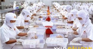 Tuyển 05 nữ làm thực phẩm, đóng gói tại NM Hòa phong