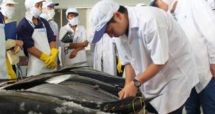 NM Nguyên Hải Hương tuyển 20 nam làm cá tại Cao Hùng