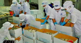 Tuyển 02 nữ làm đóng gói sản phẩm tại NM An Khánh Cao Hùng