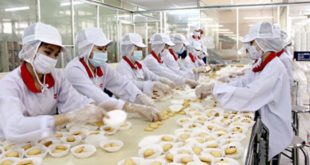 Tuyển 10 nữ làm bánh tại NM Kim Khoáng Đài Nam- PV Skype