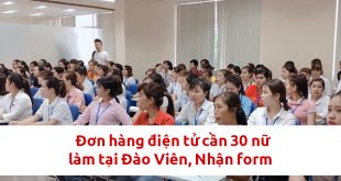 Đơn hàng điện tử cần 30 nữ làm tại Đào Viên, Nhận form