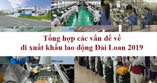 Tổng hợp các vấn đề về đi xuất khẩu lao động Đài Loan 2019